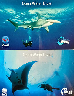 Project Aware Tauchausweis