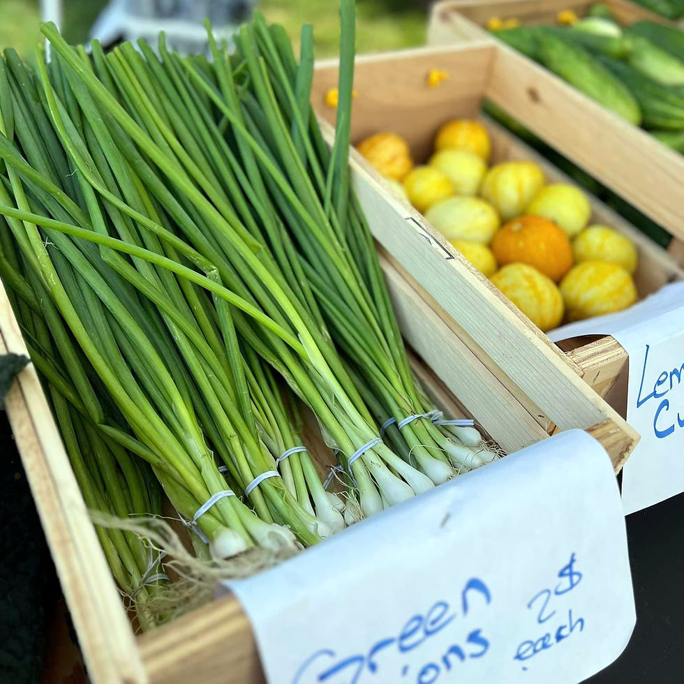 Green Onions