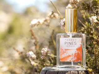 Posh Beauty Blog's Fall Fragrance Guide: Torrey Pines Spotlight