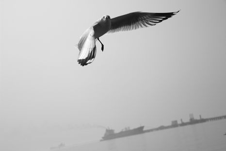 IMG_3204.JPG