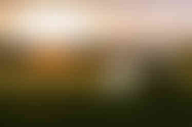 Videographer capturing wedding couple