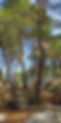 IMX_0718_edited.jpg