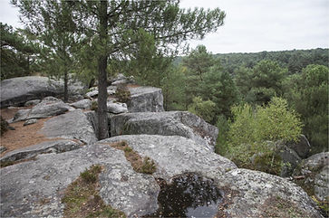 Escalade en forêt de Fontainebleau