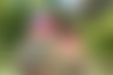 Families move all the time, for a variety of reasons. This was different though.