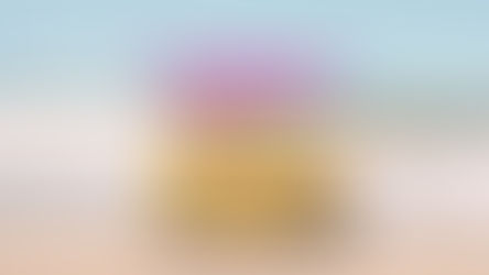 Summer Survival Assistance for MilKids