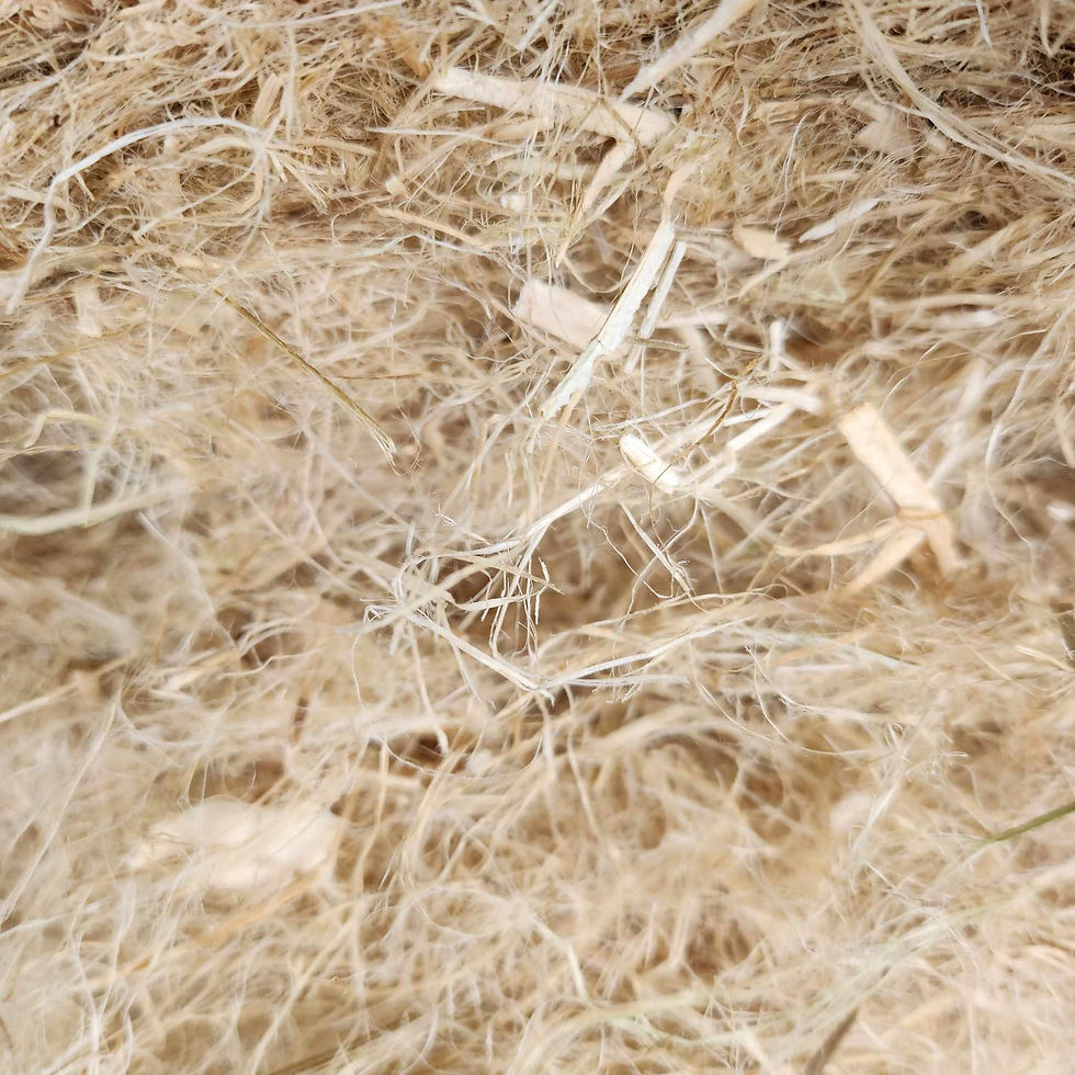 hemp_bedding_rabbit