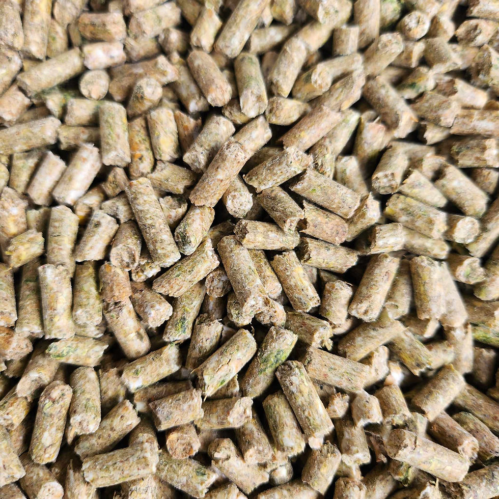rabbit_pellets2
