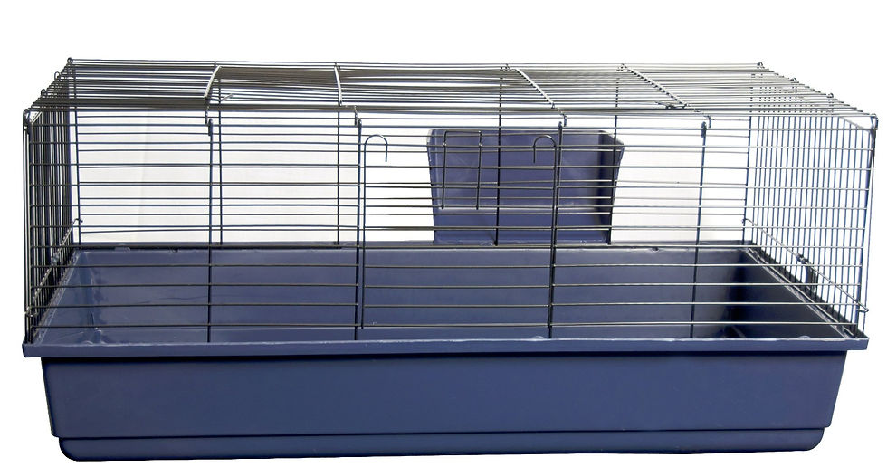 rabbit_cage