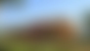 L'habitat participatif