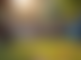 Support Urban Wealth Association's Impactful Community Events