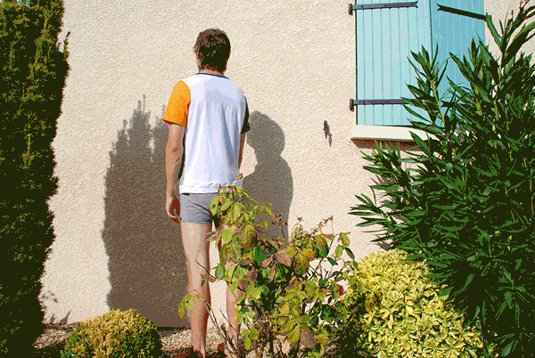 LE GIF 4 couleurs.gif