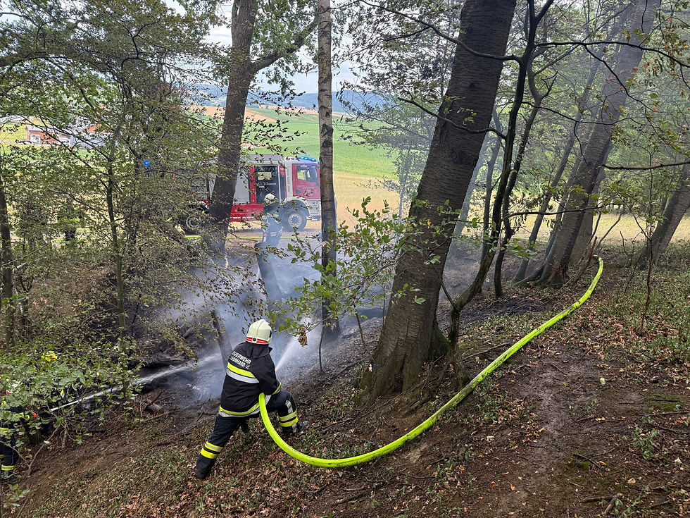 B2 Waldbrand in Schweining