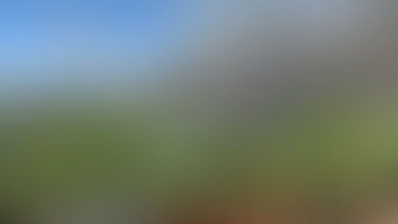 Wieder Brandeinsatz im Freien