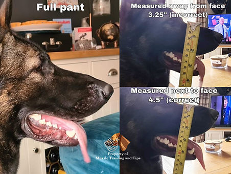 measuring off the face