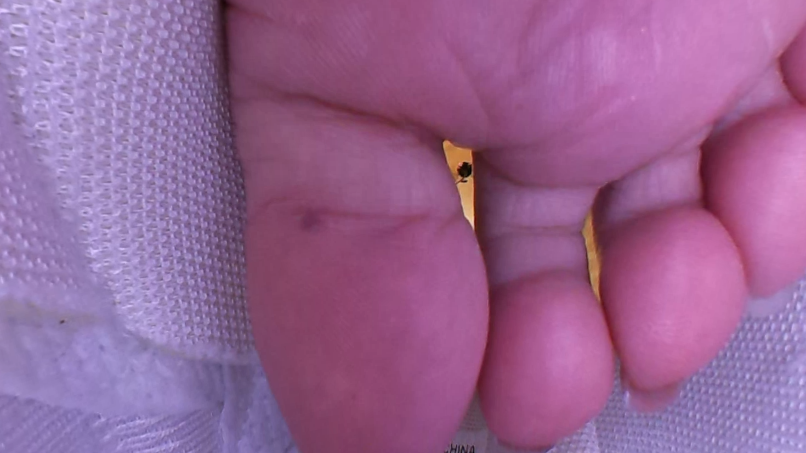 Living in Yurino's shoe(Tiny3DX 37)