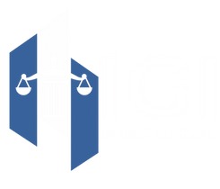 Implicit Good Inc for Professional Intel Support