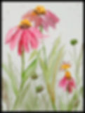 Coneflowers2.jpg