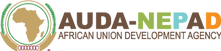 AUDA NEPAD Logo.png