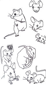 CamScanner_23-03-2024_16.05_4.jpg