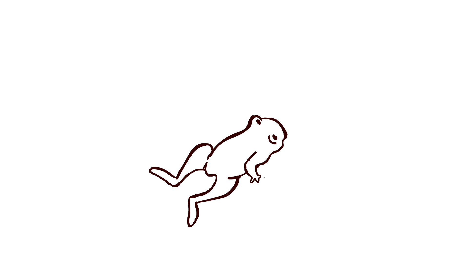 grenouille-teste.gif