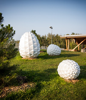 VilledeCandiac2023 - InaugurationCocottes-8920.jpg