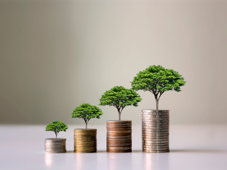 ¿Solución ambiental o carga fiscal? El debate sobre los impuestos verdes