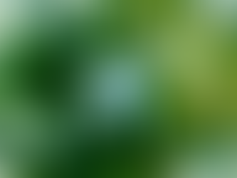 Experiencias sobre lujo: Así está cambiando el turismo en América Latina y el Caribe