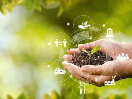 Sostenibilidad: Un modelo de negocio rentable