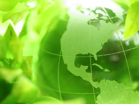 Empresas se reinventan para alcanzar el net zero en 2025