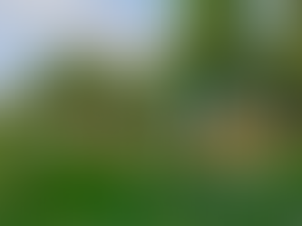 La industria bananera: Pilar económico y social en el Caribe