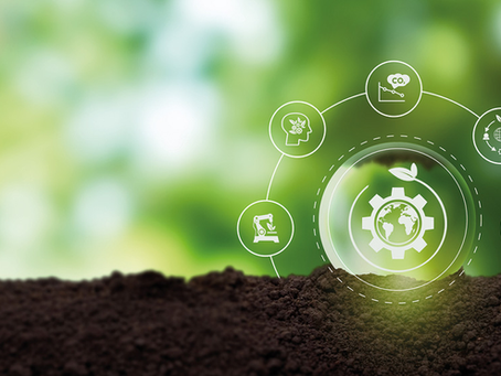 Reusar, rediseñar y regenerar como el nuevo modelo de producción