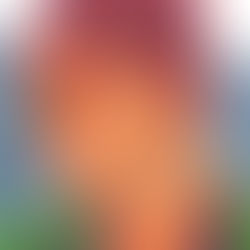 Mel Nicoll - Our New Development Officer