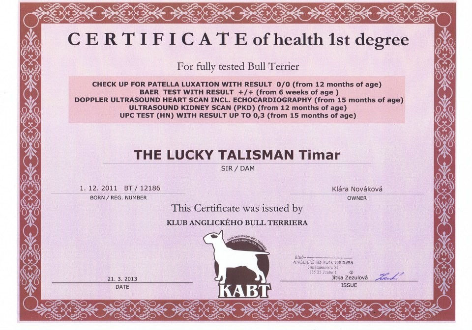 certifikat.jpg