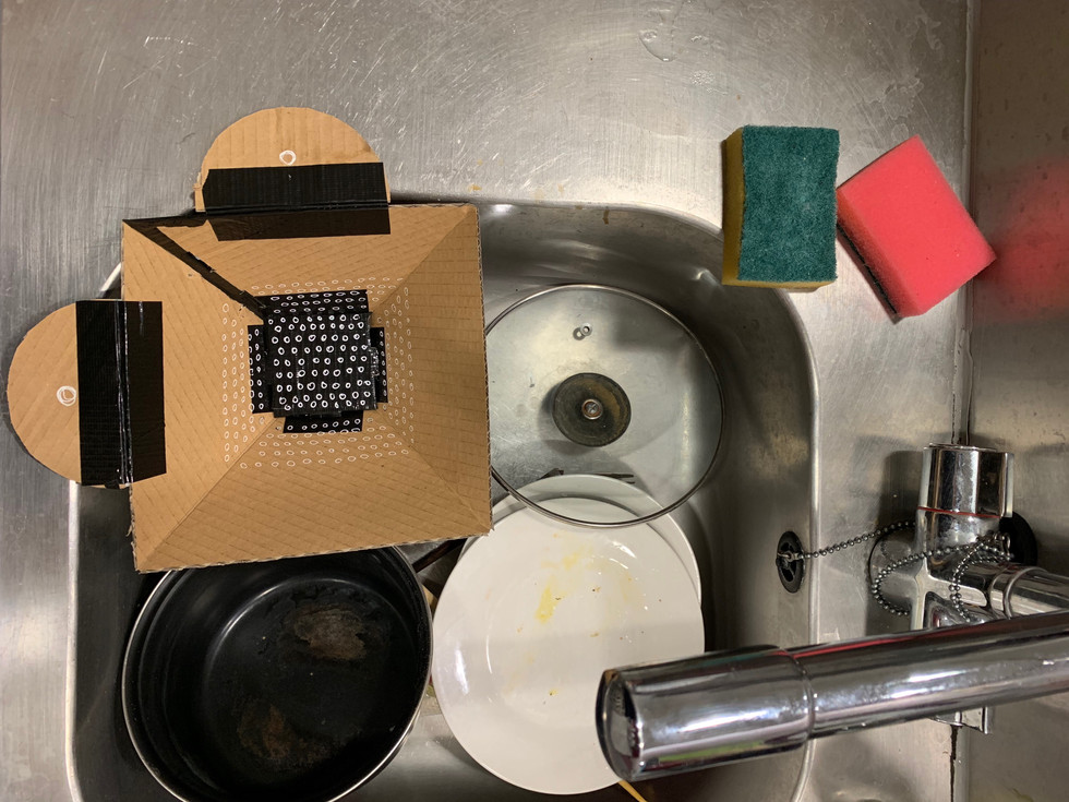 C1 IN SINK .jpeg