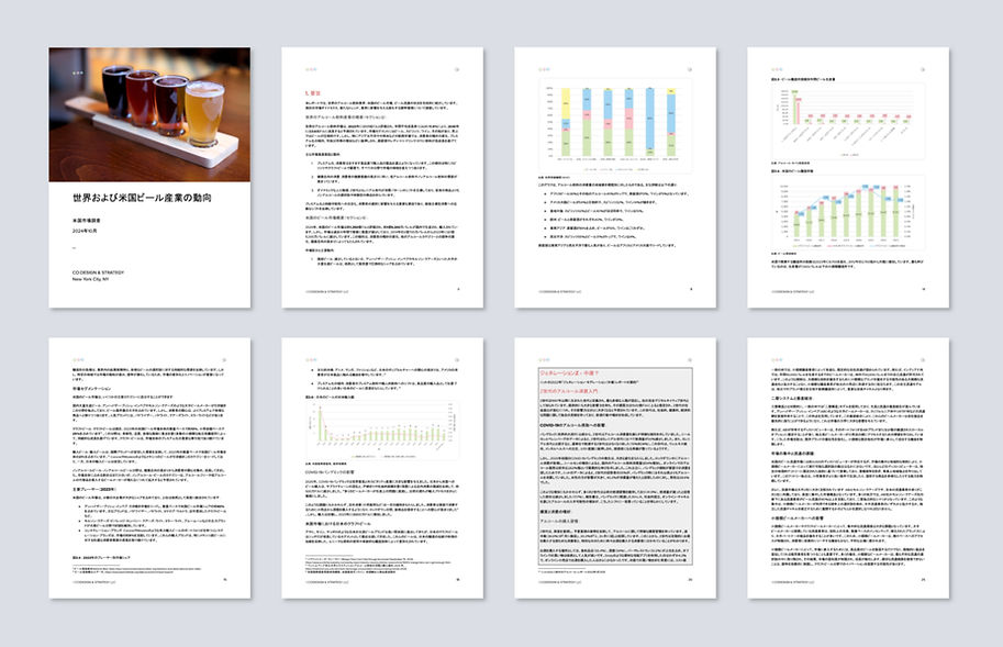 mockup research report sterrato JP.jpg