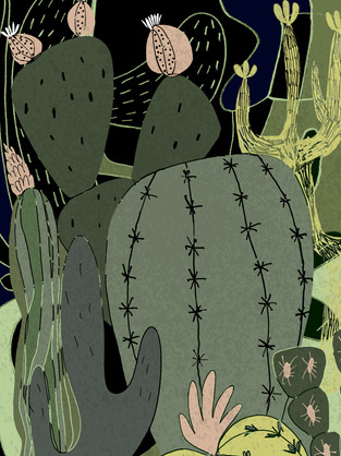 cactus.jpg