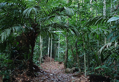 WhatsApp Image 2026-01-21 at 13.53.47.jpeg