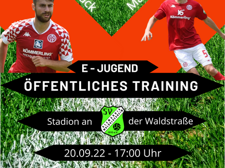 Training mit den Profis vom FSV Mainz 05