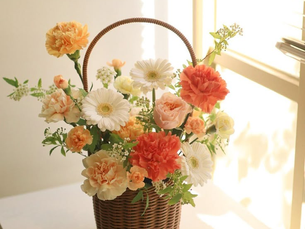 Más que flores en un canasto: Por qué el 'Basket Flower' es la terapia que no sabías que necesitabas