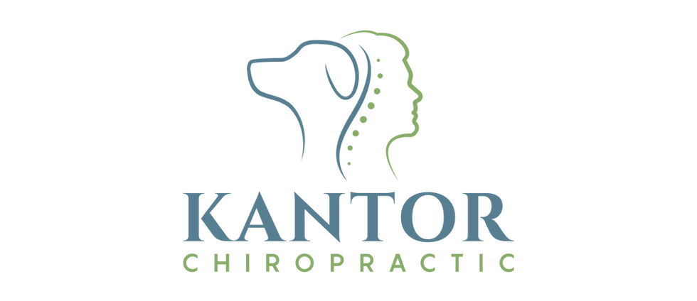 Kantor Chiropractic Logo