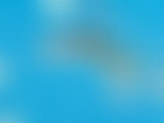 The Maps of Ibrahim Miranda