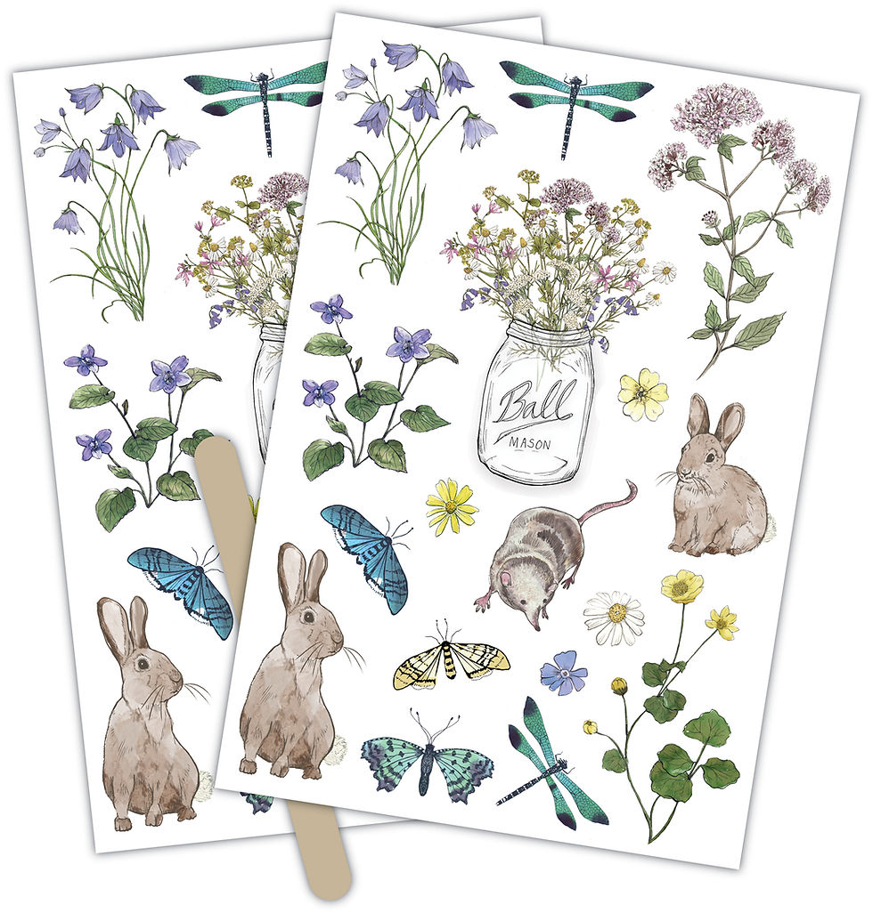 Thumbnail: Wildflower Meadow - Special Edition - Rub-on Transfers