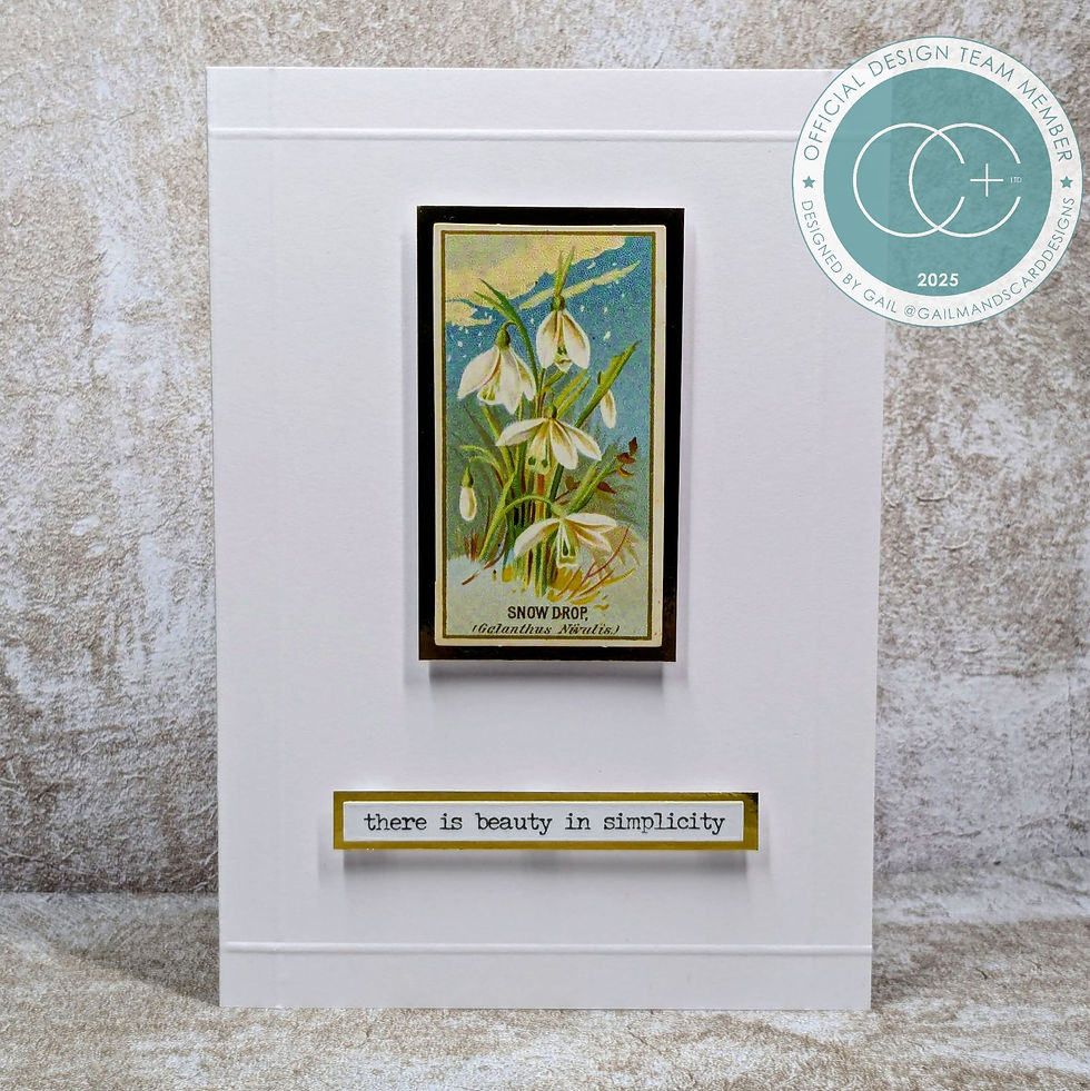 Thumbnail: The Collector - Flowers -  Ephemera