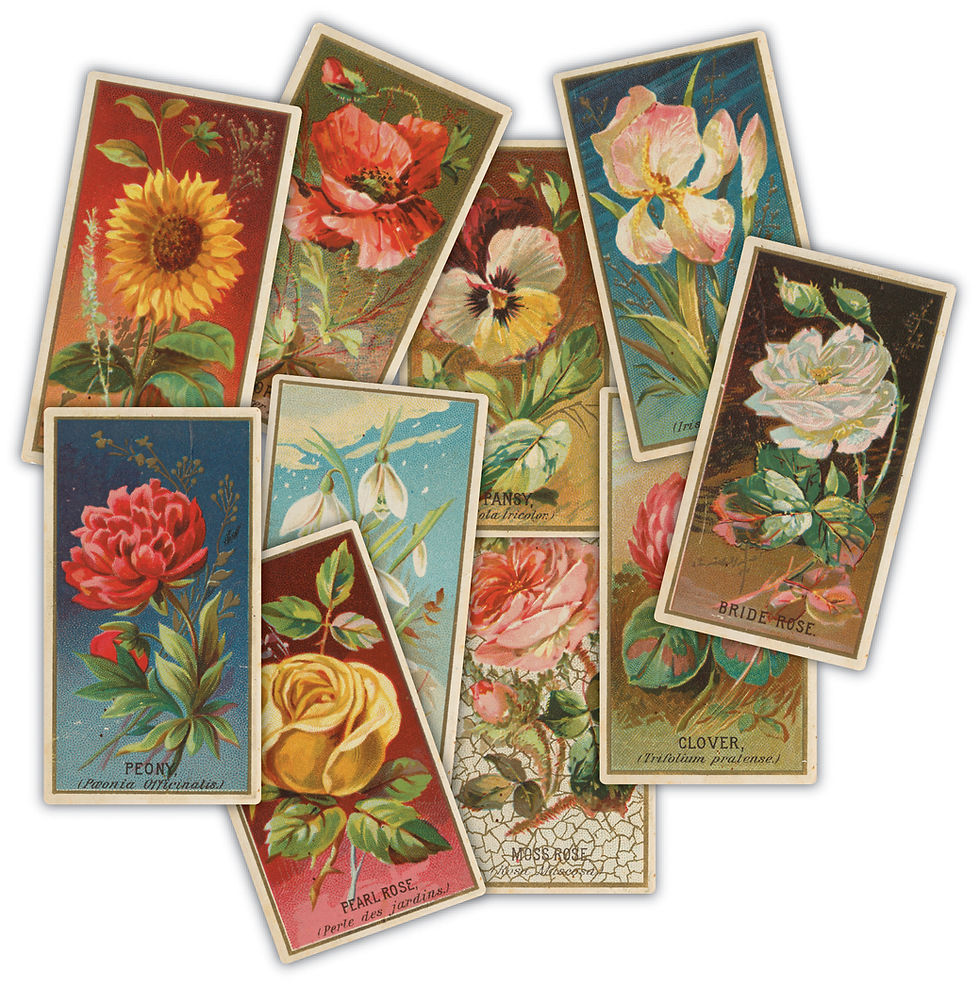 Thumbnail: The Collector - Ephemera Bundle
