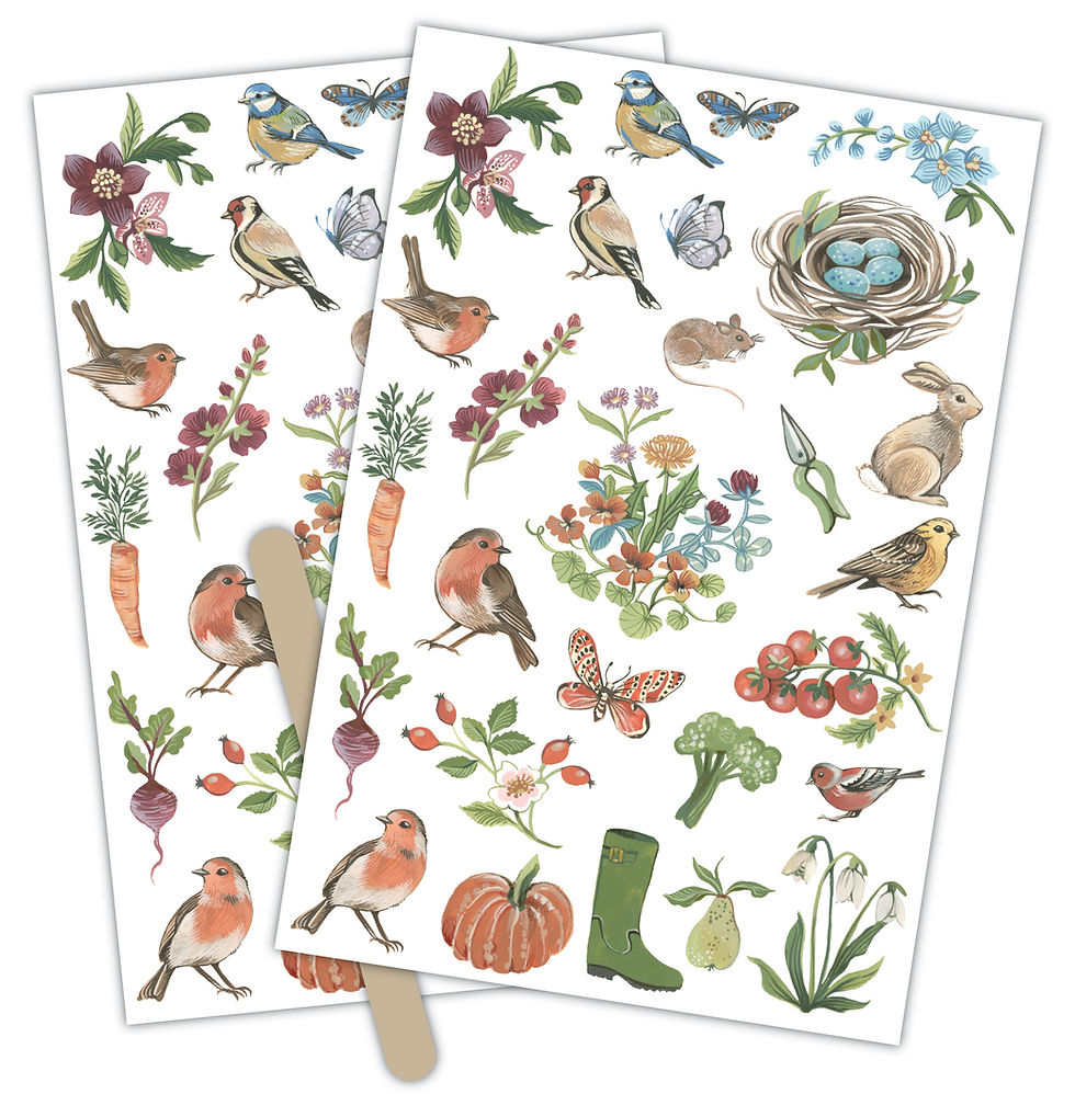 Thumbnail: Little Robin Redbreast - Rub-on Transfers