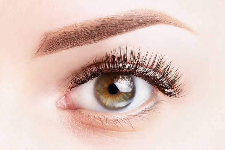 Female eye with long eyelashes. Classic eyelash extensions and light brown eyebrow close-u