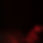 movement-red-smoke-black-background-with-copy-space-writing-text.jpg