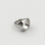 Geometric Facet Ring