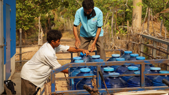The Human Right to Water