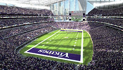 vikings_bowl-copy.jpeg